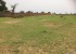 Vente Terrain en résidence sur un terrain de 10 000 m<sup>2</sup> Proche  - Réf. T2246 Agence immobilière Saly Sénégal T2246 terrain à vendre à nguerigne senegal