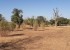 Vente Terrain en résidence sur un terrain de 12 000 m<sup>2</sup>  - Réf. T2600 Agence immobilière Saly Sénégal T2600-terrain-en-vente-a-nguerigne-bamabra-senegal