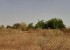Vente Terrain en résidence sur un terrain de 2 300 m<sup>2</sup> Proche  - Réf. T2644 Agence immobilière Saly Sénégal T2644-terrain-en-vente-a-nguerigne-bambara-senegal