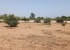 Vente Terrain en résidence sur un terrain de 4 000 m<sup>2</sup> Proche  - Réf. T2794 Agence immobilière Saly Sénégal T2794-terrain-a-vendre-a-ngaparou-senegal