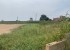 Vente Terrain hors résidence sur un terrain de 9 500 m<sup>2</sup> Proche  - Réf. T2823 Agence immobilière Saly Sénégal T2823 Terrain a vendre sinthiane senegal