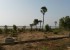 Vente Terrain hors résidence sur un terrain de 4 654 m<sup>2</sup> Proche  - Réf. T1969 Agence immobilière Saly Sénégal T1969 terrain à vendre Sine Saloum Senegal