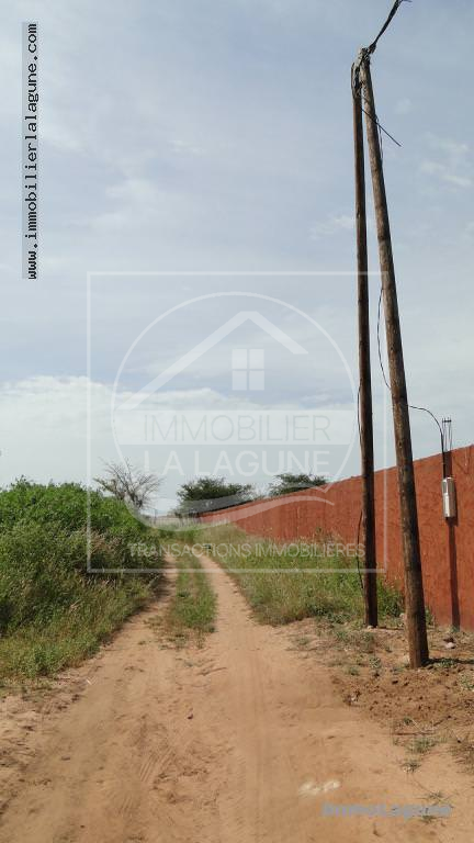 Agence Immobilière Saly Sénégal - T2139 - Terrain à NGUERIGNE - T2139 grand Terrain à vendre à Nguering Sénégal