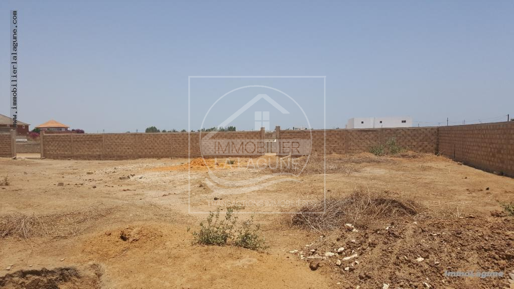 Agence Immobilière Saly Sénégal - T2374 - Terrain à NGAPAROU - V2374-terrain-en-vente-a-ngaparou-senegal