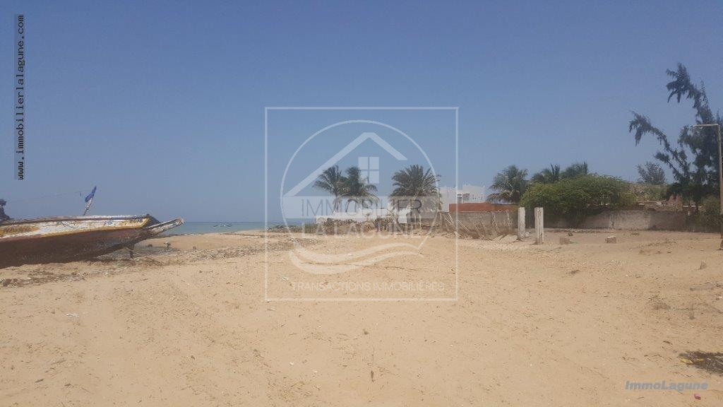 Agence Immobilière Saly Sénégal - T2510 - Terrain à MBOUR - T2510-terrain-a-vendre-a-mbour-senegal