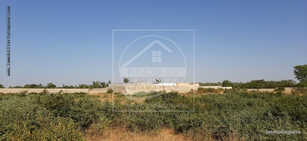 Agence Immobilière Saly Sénégal - T2578 - Terrain à N'DIOROKH - T2578 Terrain à vendre à Ndiorokh