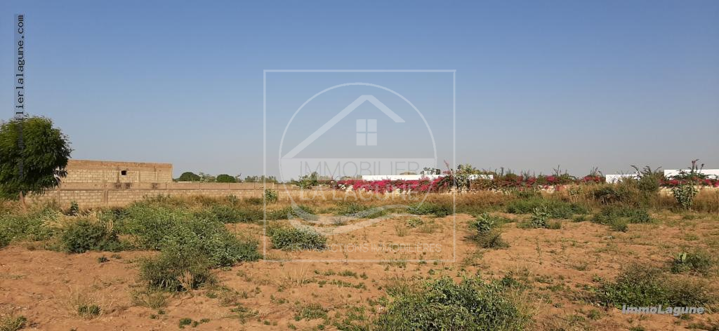 Agence Immobilière Saly Sénégal - T2380 - Terrain à NGUERIGNE - T2380 Terrain à vendre à Nguerigne