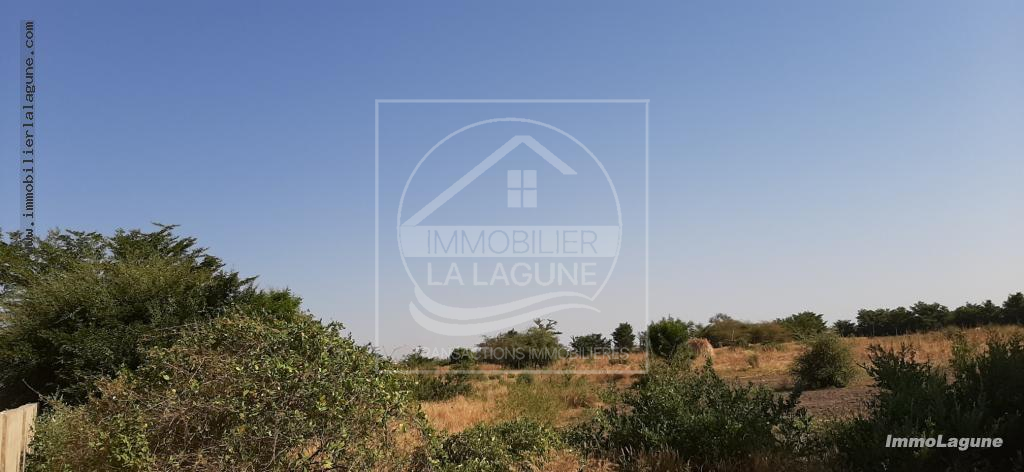 Agence Immobilière Saly Sénégal - T2575 - Terrain à SALY - T2575 Terrain en vente à Saly