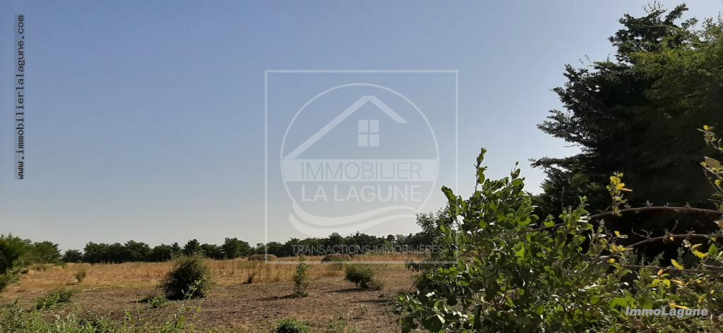 Agence Immobilière Saly Sénégal - T2575 - Terrain à SALY - T2575 Terrain en vente à Saly