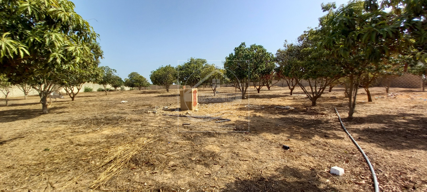 Agence Immobilière Saly Sénégal - T2728 - Terrain à NGAPAROU - 