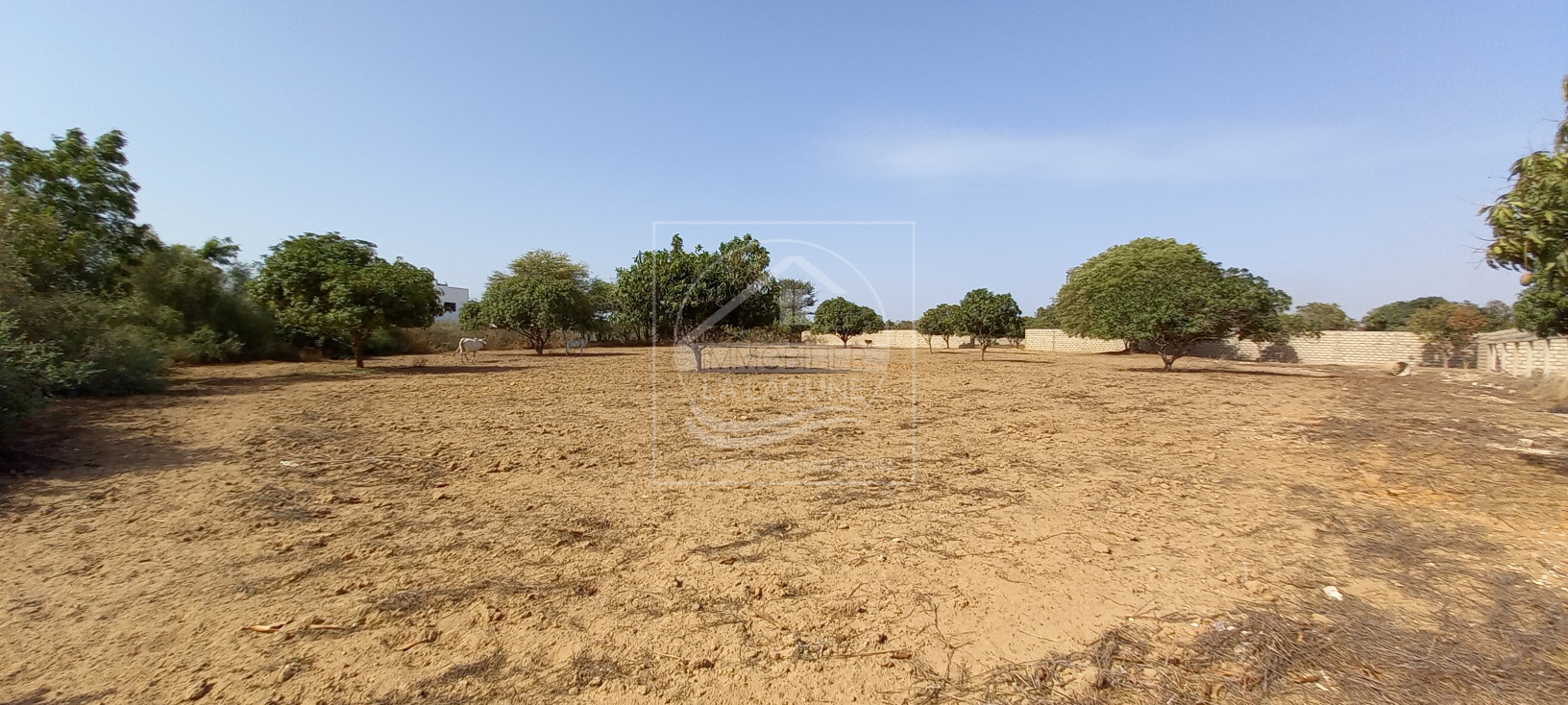 Agence Immobilière Saly Sénégal - T2793 - Terrain à NGAPAROU - T2793-terrain-a-vendre-a-ngaparou-senegal