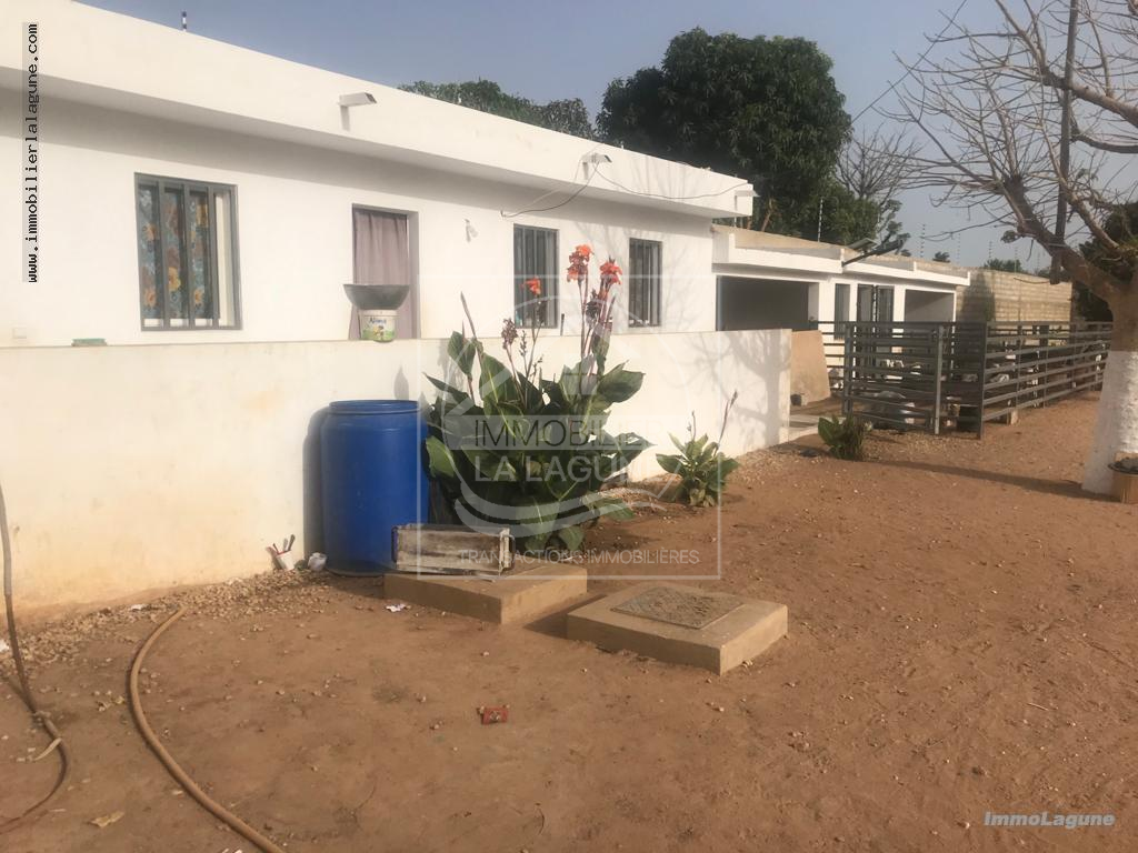 Agence Immobilière Saly Sénégal - T2918 - Terrain à NGUERIGNE - T2918-terrain-en-vente-a-nguerigne-senegal