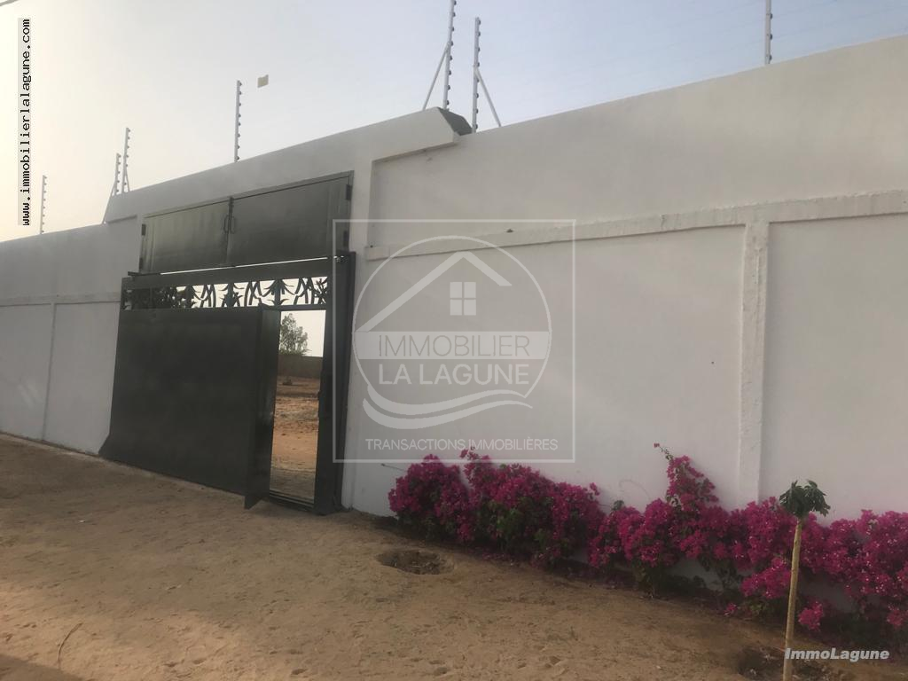 Agence Immobilière Saly Sénégal - T2918 - Terrain à NGUERIGNE - T2918-terrain-en-vente-a-nguerigne-senegal
