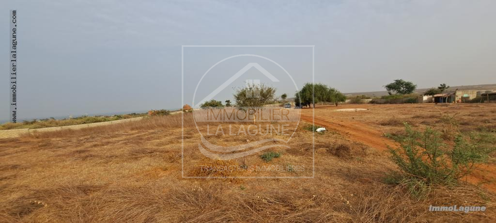 Agence Immobilière Saly Sénégal - T3001 - Terrain à Guéréo - T3001-terrain-a-vendre-a-guereo-senegal