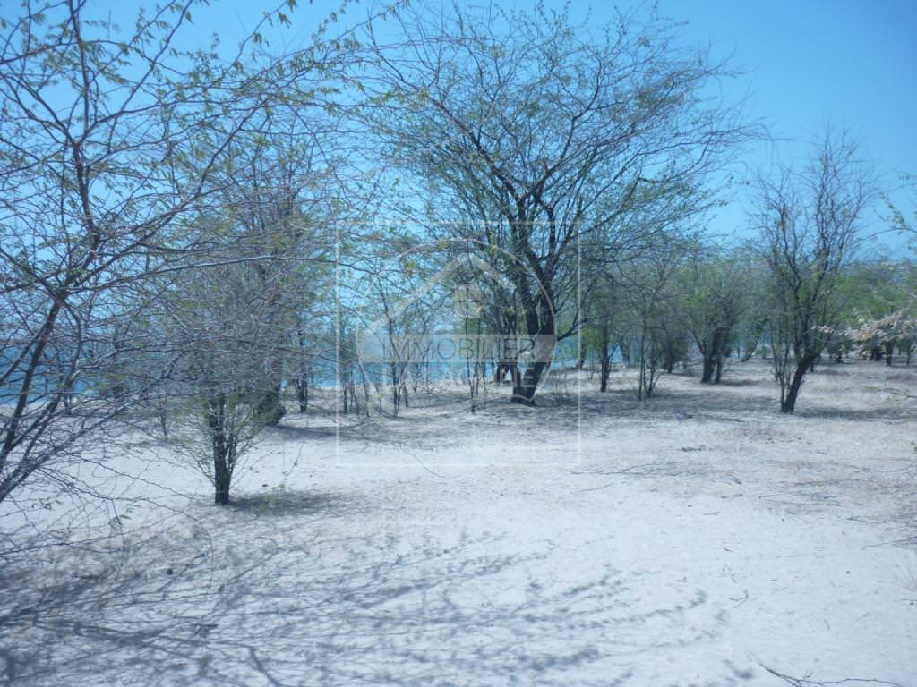 Agence Immobilière Saly Sénégal - T1946 - Terrain à FOUNDIOUGNE - v1946 beau terrain en bordure de mer à vendre à foundiougne senegal