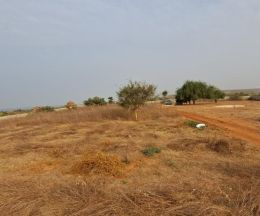 Vente Terrain en résidence sur un terrain de 3 068 m<sup>2</sup>  - Réf. T3001 Agence immobilière Saly Sénégal T3001-terrain-a-vendre-a-guereo-senegal