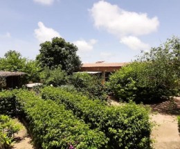 Agence Immobilière immoLagune Saly Sénégal - V2534 - Villa - SALY - 