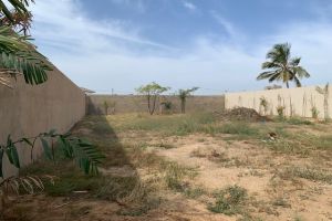 Agence Immobilière Saly Sénégal - T2836 - Terrain - NGAPAROU - T2836 terrain a vendre ngaparou senegal