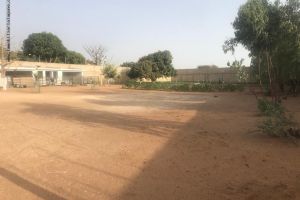 Agence Immobilière Saly Sénégal - T2918 - Terrain - NGUERIGNE - T2918-terrain-en-vente-a-nguerigne-senegal