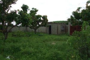 Agence Immobilière Saly Sénégal - T1966 - Terrain - N'DIOROKH - T1966 Terrain à vendre à Ndiorokh Senegal