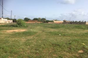 Agence Immobilière Saly Sénégal - T2253 - Terrain - NGAPAROU - T2253 terrain à acheter à ngaparou senegal