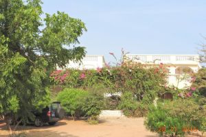 Agence Immobilière Saly Sénégal - V2298 - Villa - POPENGUINE - 