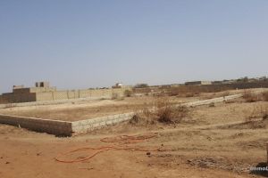 Agence Immobilière Saly Sénégal - T2513 - Terrain - GANDIGAL - T2413-terrain-a-vendre-a-gandigal-senegal