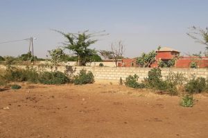 Agence Immobilière Saly Sénégal - T2572 - Terrain - SOMONE - T2572-terrain-en-vente-a-somone-senegal