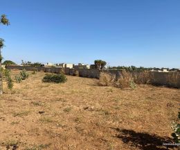 Vente Terrain hors résidence sur un terrain de 1 000 m<sup>2</sup>  - Réf. T3061 Agence immobilière Saly Sénégal T3061 Terrain a vendre a nguerigne senegal