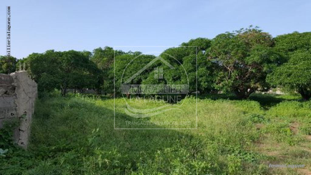 Agence Immobilière Saly Sénégal - T2331 - Terrain à SOMONE - T2331 terrain en vente a somone senegal
