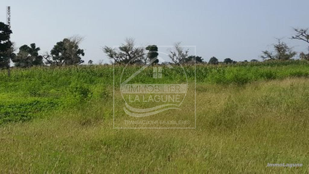 Agence Immobilière Saly Sénégal - T2332 - Terrain à NGUEKHOKH - T2332 terrain a acheter a nguekokh senegal