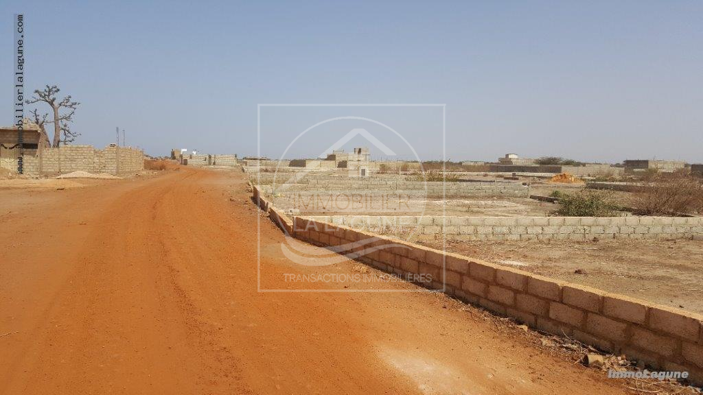 Agence Immobilière Saly Sénégal - T2511 - Terrain à GANDIGAL - T2511-terrain-a-vendre-a-keur yougar-senegal