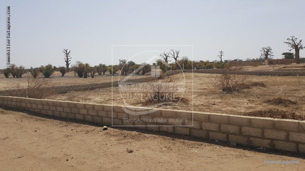 Agence Immobilière Saly Sénégal - T2512 - Terrain à GANDIGAL - T2512-terrain-a-vendre-a-gandigal-senegal
