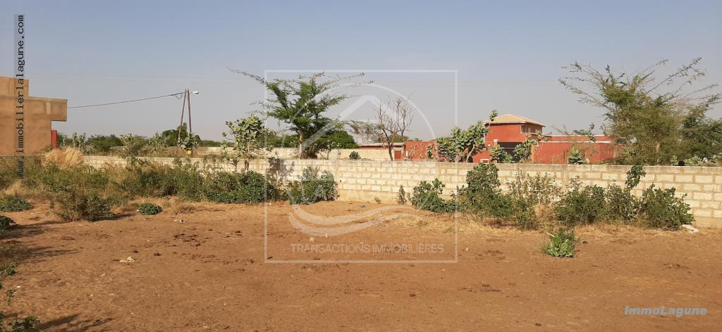 Agence Immobilière Saly Sénégal - T2572 - Terrain à SOMONE - T2572-terrain-en-vente-a-somone-senegal
