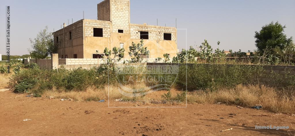 Agence Immobilière Saly Sénégal - T2572 - Terrain à SOMONE - T2572-terrain-en-vente-a-somone-senegal