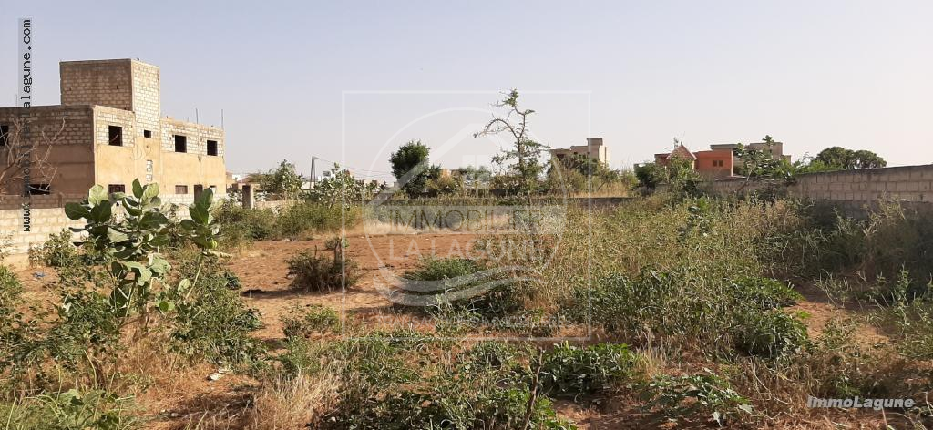 Agence Immobilière Saly Sénégal - T2572 - Terrain à SOMONE - T2572-terrain-en-vente-a-somone-senegal