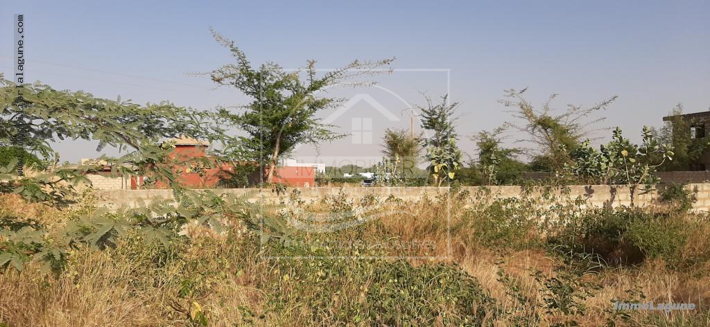 Agence Immobilière Saly Sénégal - T2572 - Terrain à SOMONE - T2572-terrain-en-vente-a-somone-senegal