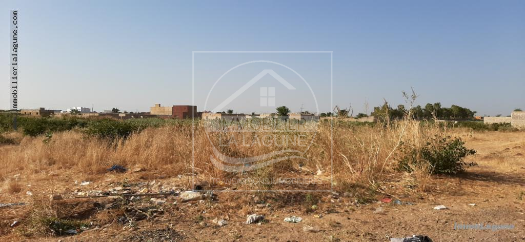 Agence Immobilière Saly Sénégal - T2579 - Terrain à N'DIOROKH - T2579 Terrain à vendre à Ndiorokh