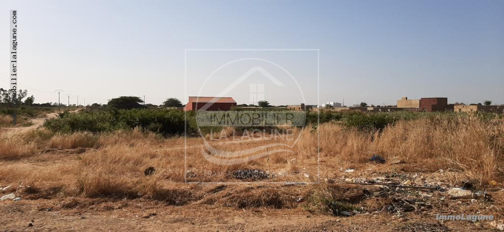 Agence Immobilière Saly Sénégal - T2579 - Terrain à N'DIOROKH - T2579 Terrain à vendre à Ndiorokh