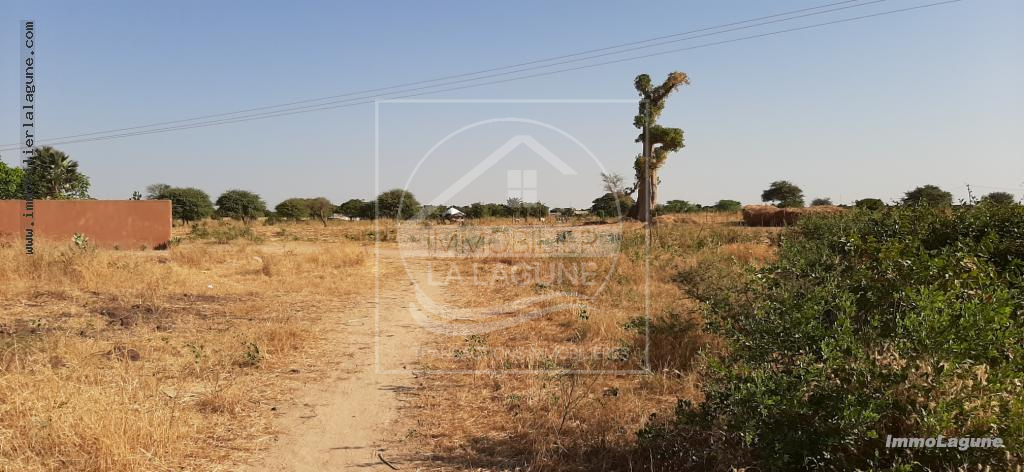 Agence Immobilière Saly Sénégal - T2579 - Terrain à N'DIOROKH - T2579 Terrain à vendre à Ndiorokh
