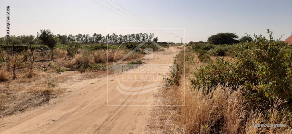 Agence Immobilière Saly Sénégal - T2579 - Terrain à N'DIOROKH - T2579 Terrain à vendre à Ndiorokh