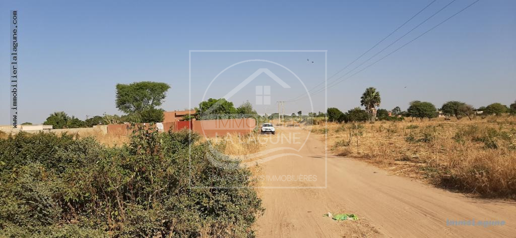 Agence Immobilière Saly Sénégal - T2579 - Terrain à N'DIOROKH - T2579 Terrain à vendre à Ndiorokh