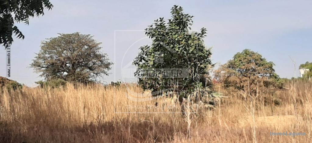 Agence Immobilière Saly Sénégal - T2583 - Terrain à NGAPAROU - T2583 terrain-a-vendre-nguerigne-senegal