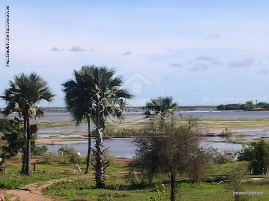 Agence Immobilière Saly Sénégal - T2657 - Terrain à NDANGANE - T2657-terrains-a-vendre-a-ndangane-dans-lotissement-senegal