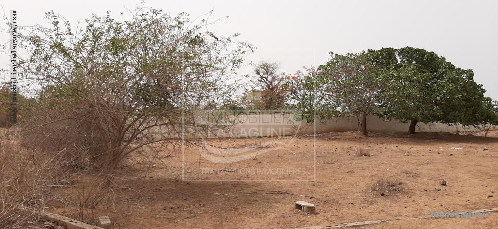 Agence Immobilière Saly Sénégal - T2665 - Terrain à NGUERIGNE - T2665-terrain-en-vente-a-nguerigne-senegal