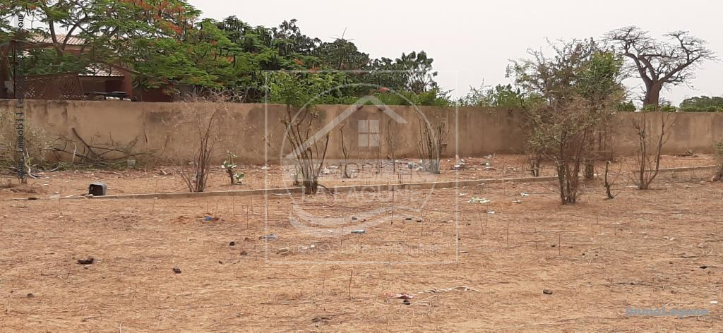 Agence Immobilière Saly Sénégal - T2667 - Terrain à NGUERIGNE - 