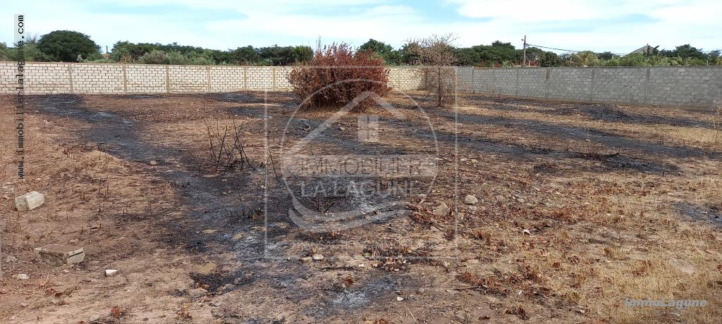 Agence Immobilière Saly Sénégal - T2768 - Terrain à N'DIOROKH - T2768-terrain-a-vendre-a-diorokh-senegal