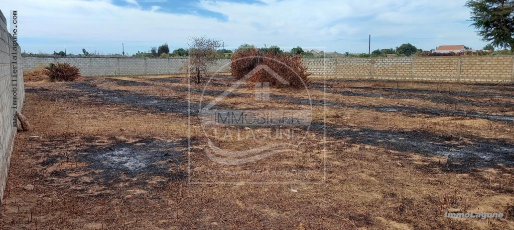 Agence Immobilière Saly Sénégal - T2768 - Terrain à N'DIOROKH - T2768-terrain-a-vendre-a-diorokh-senegal