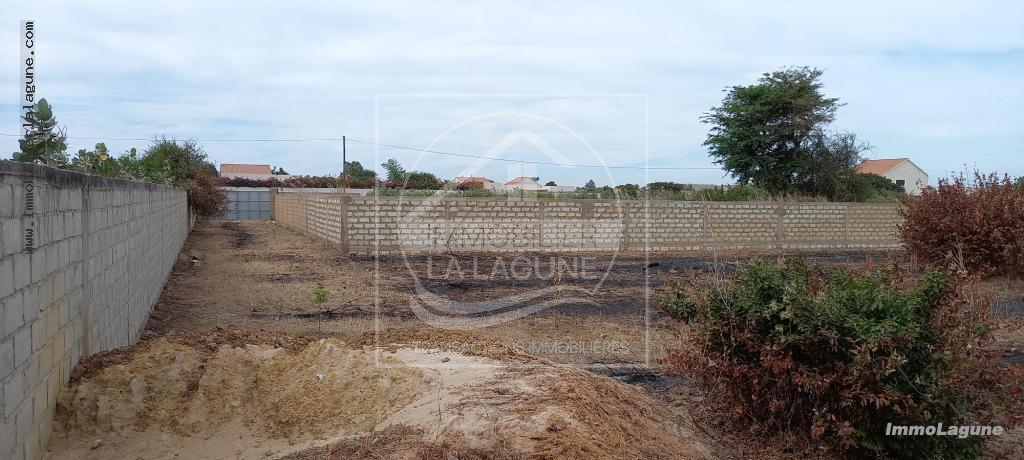 Agence Immobilière Saly Sénégal - T2768 - Terrain à N'DIOROKH - T2768-terrain-a-vendre-a-diorokh-senegal