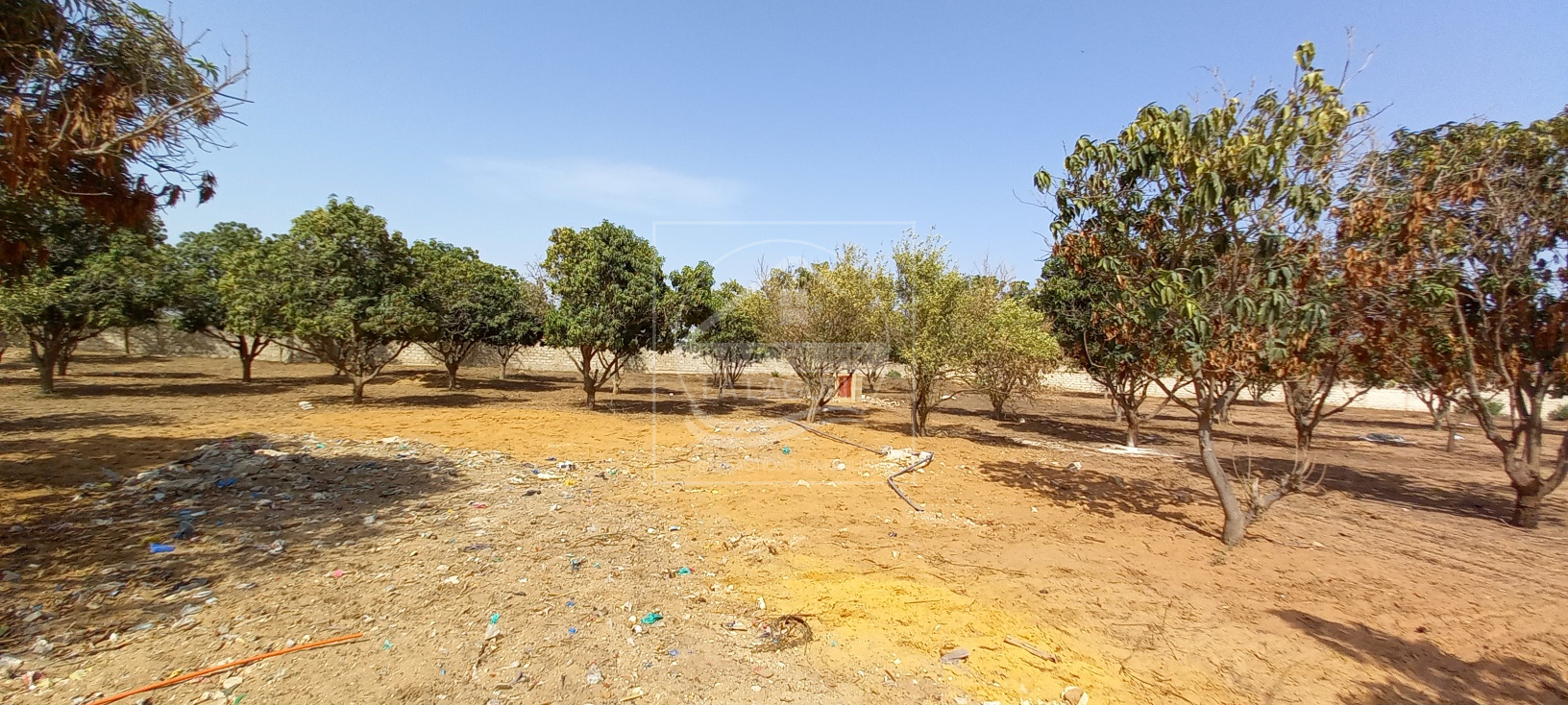 Agence Immobilière Saly Sénégal - T2726 - Terrain à NGAPAROU - 